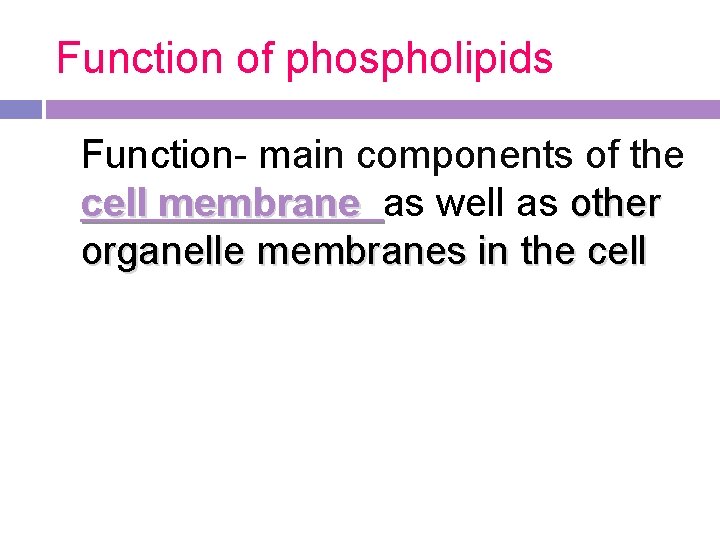 Function of phospholipids Function- main components of the cell membrane as well as other Function of phospholipids Function- main components of the cell membrane as well as other