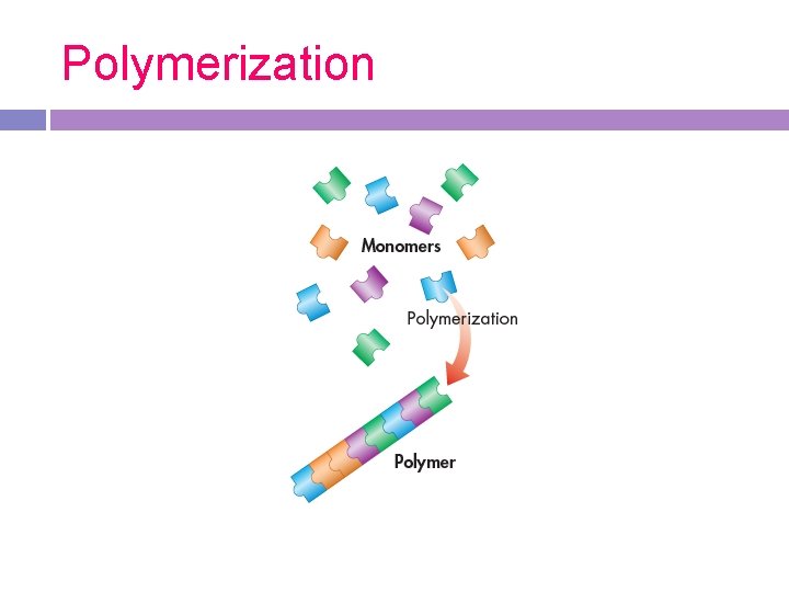 Polymerization 