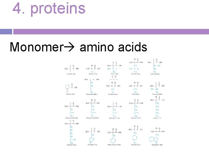 4. proteins Monomer amino acids 