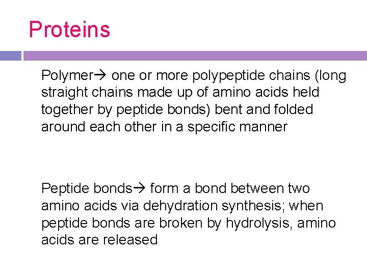 Proteins Polymer one or more polypeptide chains (long straight chains made up of amino Proteins Polymer one or more polypeptide chains (long straight chains made up of amino