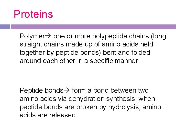 Proteins Polymer one or more polypeptide chains (long straight chains made up of amino