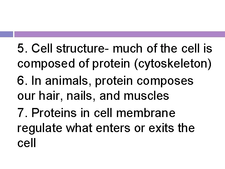 5. Cell structure- much of the cell is composed of protein (cytoskeleton) 6. In