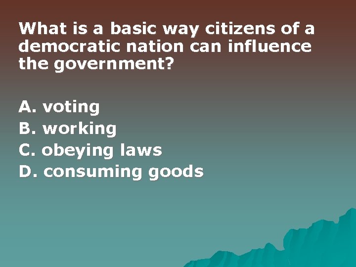 What is a basic way citizens of a democratic nation can influence the government?