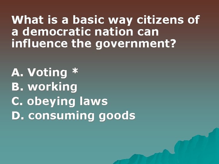 What is a basic way citizens of a democratic nation can influence the government?