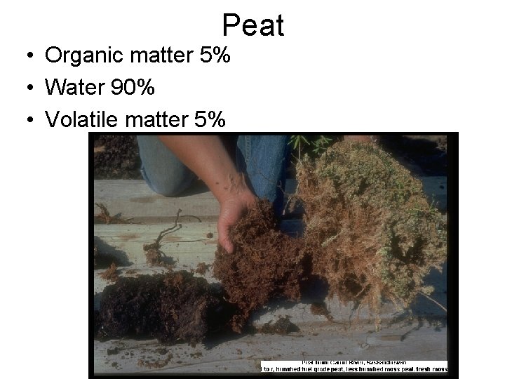 Peat • Organic matter 5% • Water 90% • Volatile matter 5% 