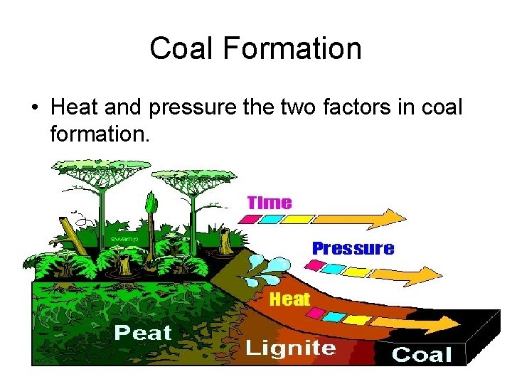 Coal Formation • Heat and pressure the two factors in coal formation. 