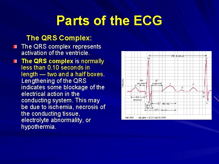 Parts of the ECG The QRS Complex: The QRS complex represents activation of the