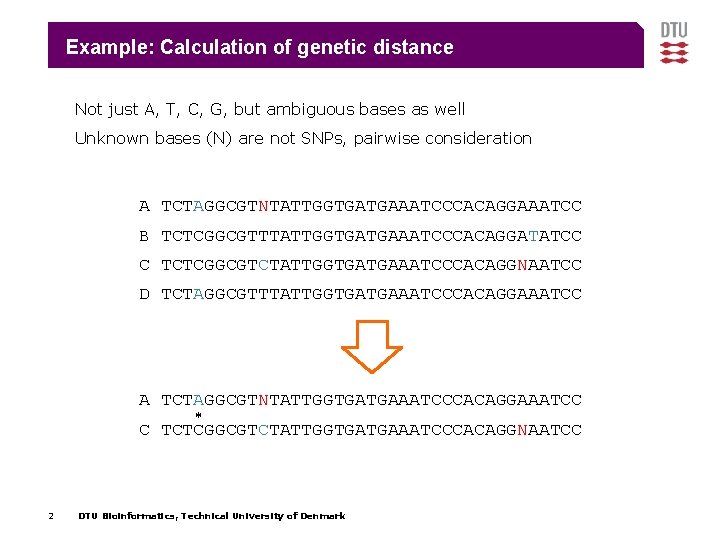 Example: Calculation of genetic distance Not just A, T, C, G, but ambiguous bases Example: Calculation of genetic distance Not just A, T, C, G, but ambiguous bases