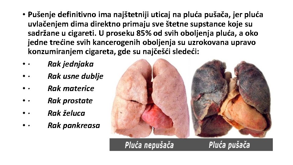  • Pušenje definitivno ima najštetniji uticaj na pluća pušača, jer pluća uvlačenjem dima