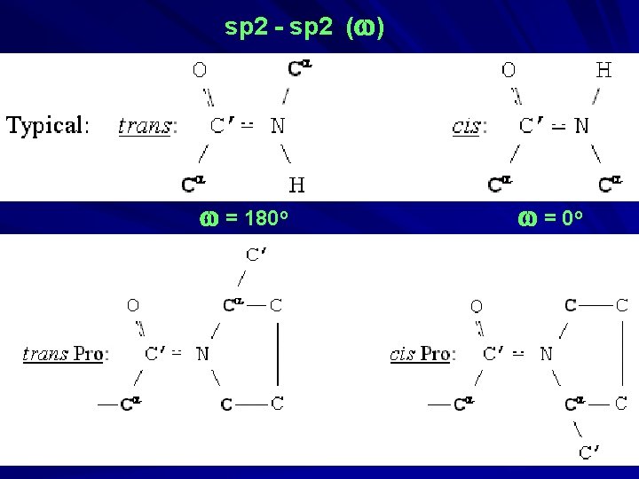 sp 2 - sp 2 (w) w = 180 o w = 0 o