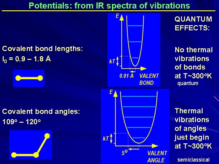 Potentials: from IR spectra of vibrations _______________________ QUANTUM EFFECTS: Covalent bond lengths: l 0