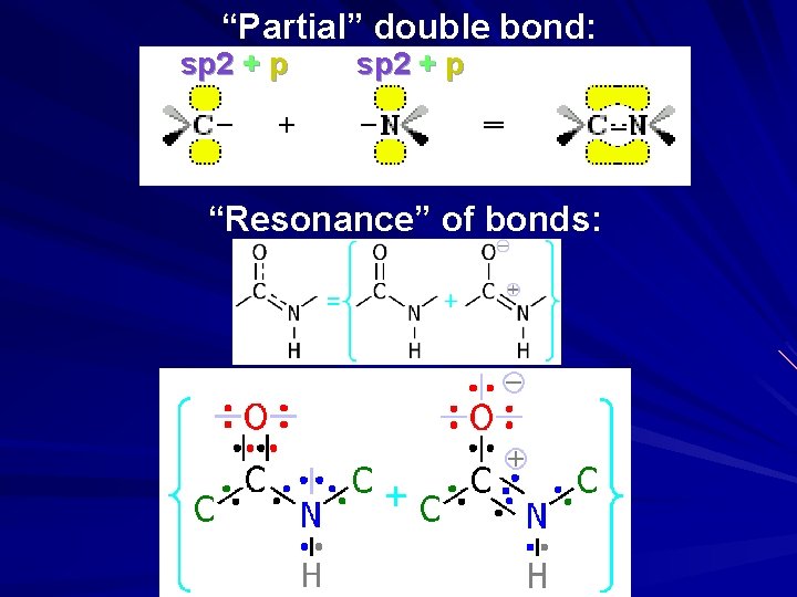 “Partial” double bond: sp 2 + p “Resonance” of bonds: 