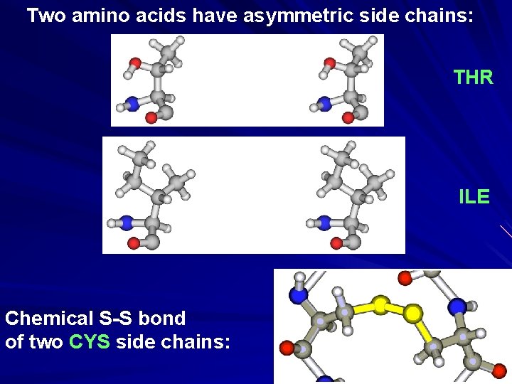 Two amino acids have asymmetric side chains: THR ILE Chemical S-S bond of two