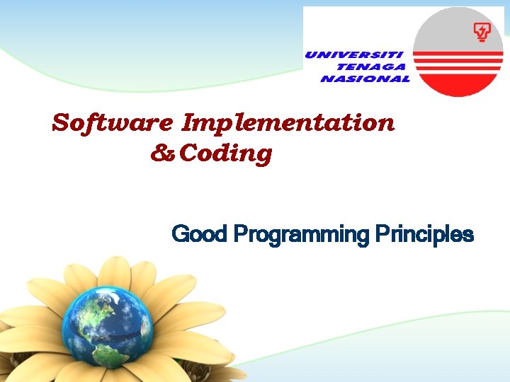 Software Implementation & Coding Good Programming Principles 