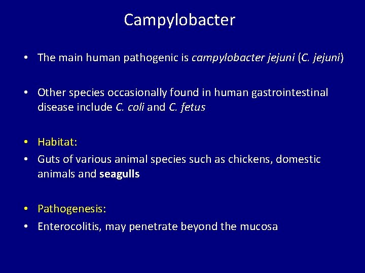 Campylobacter • The main human pathogenic is campylobacter jejuni (C. jejuni) • Other species