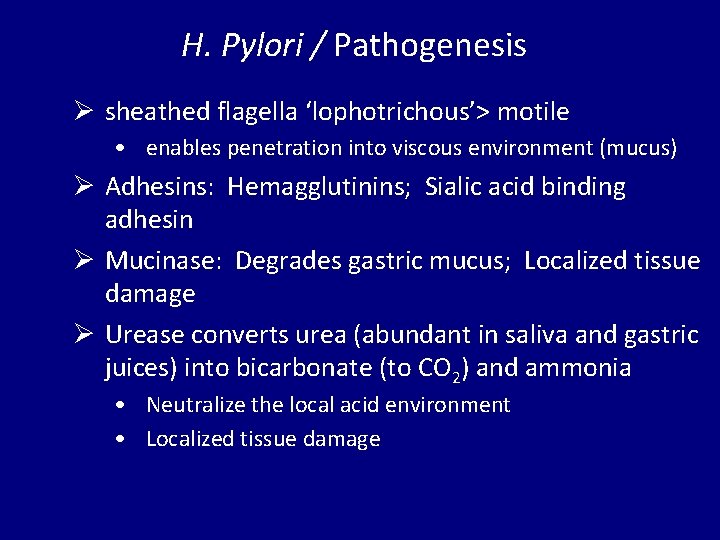 H. Pylori / Pathogenesis Ø sheathed flagella ‘lophotrichous’> motile • enables penetration into viscous