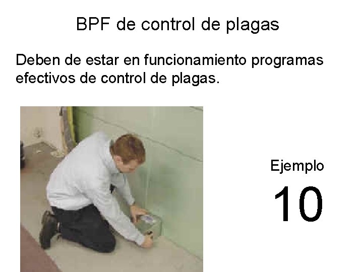 BPF de control de plagas Deben de estar en funcionamiento programas efectivos de control