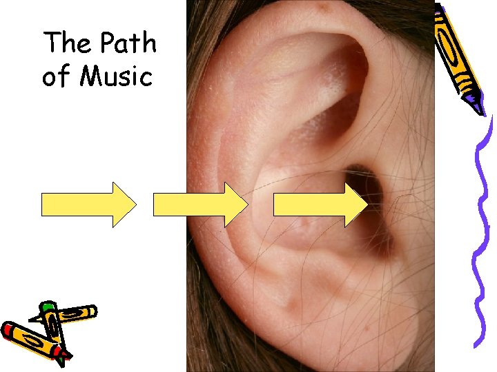 The Path of Music 