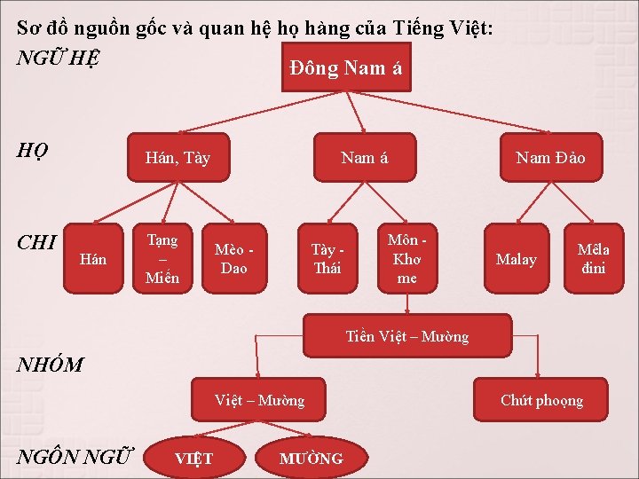 Sơ đồ nguồn gốc và quan hệ họ hàng của Tiếng Việt: NGỮ HỆ