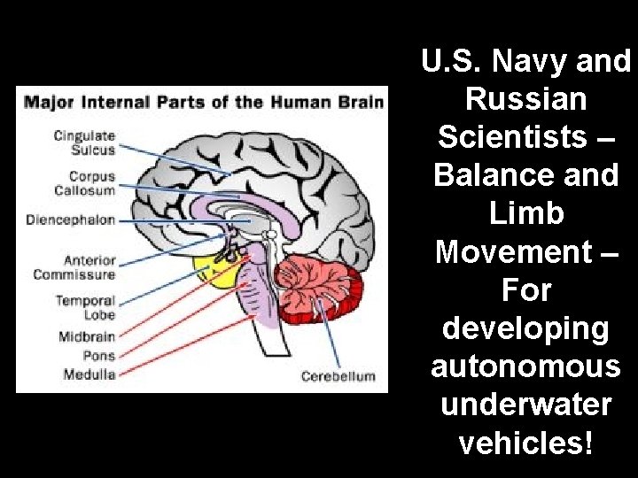 U. S. Navy and Russian Scientists – Balance and Limb Movement – For developing