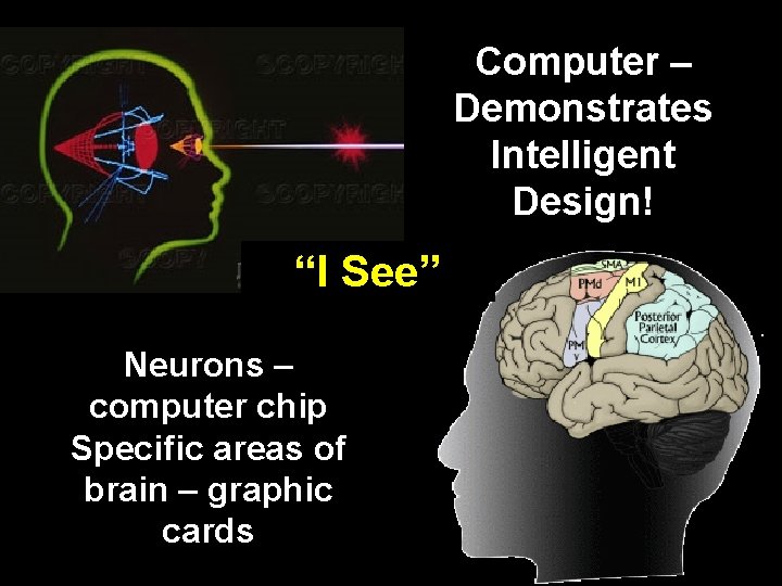 Computer – Demonstrates Intelligent Design! “I See” Neurons – computer chip Specific areas of