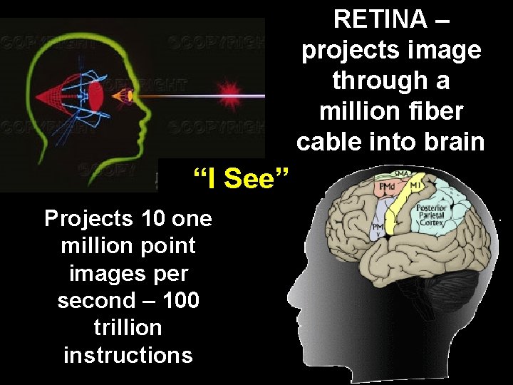 RETINA – projects image through a million fiber cable into brain “I See” Projects