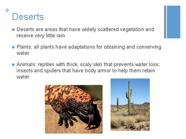 + Deserts n Deserts areas that have widely scattered vegetation and receive very little
