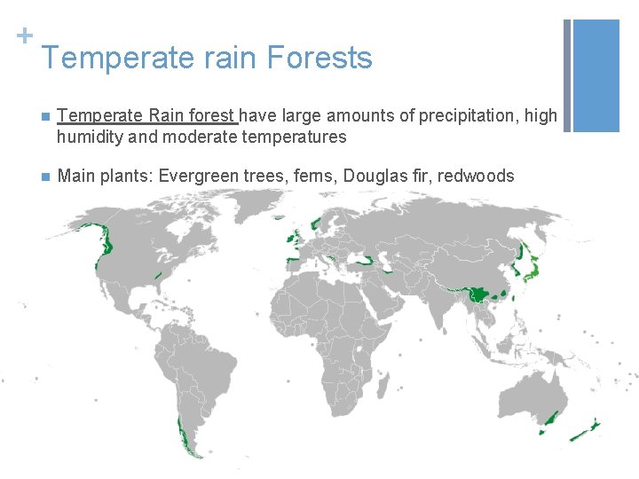 + Temperate rain Forests n Temperate Rain forest have large amounts of precipitation, high