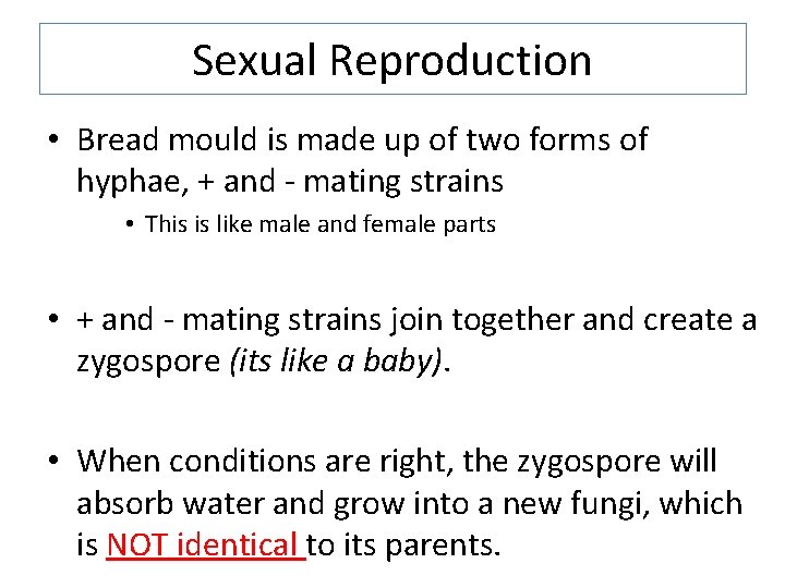 Sexual Reproduction • Bread mould is made up of two forms of hyphae, +