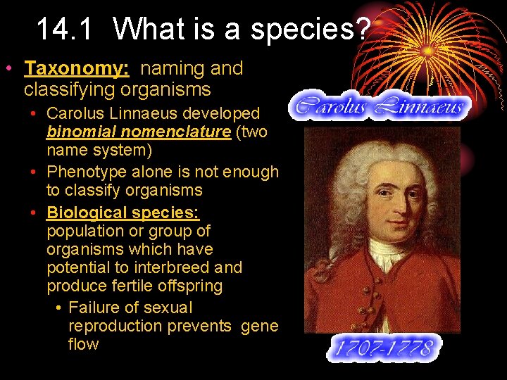 14. 1 What is a species? • Taxonomy: naming and classifying organisms • Carolus