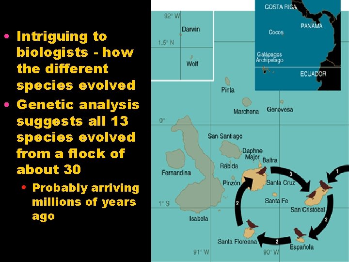 • Intriguing to biologists - how the different species evolved • Genetic analysis