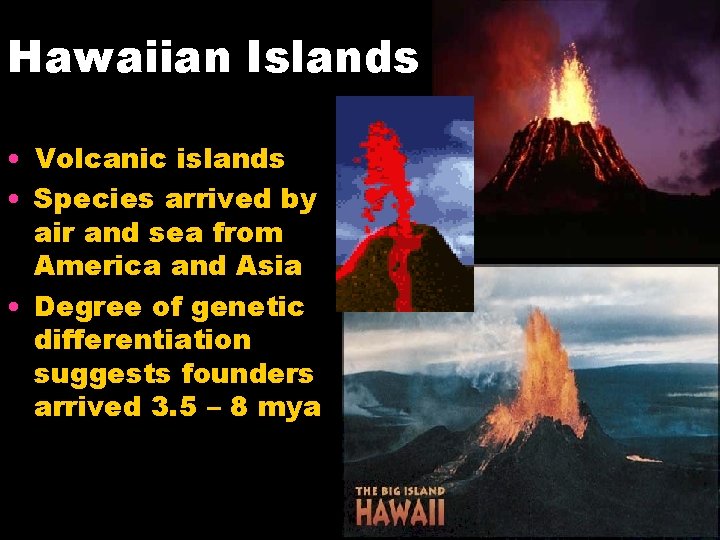 Hawaiian Islands • Volcanic islands • Species arrived by air and sea from America