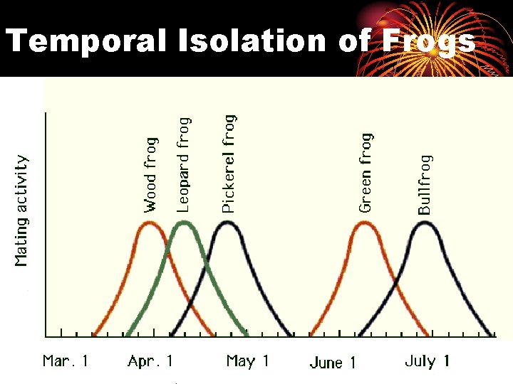 Temporal Isolation of Frogs 