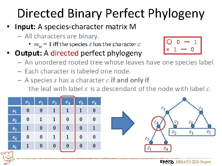 Directed Binary Perfect Phylogeny • Input: A species-character matrix M – All characters are