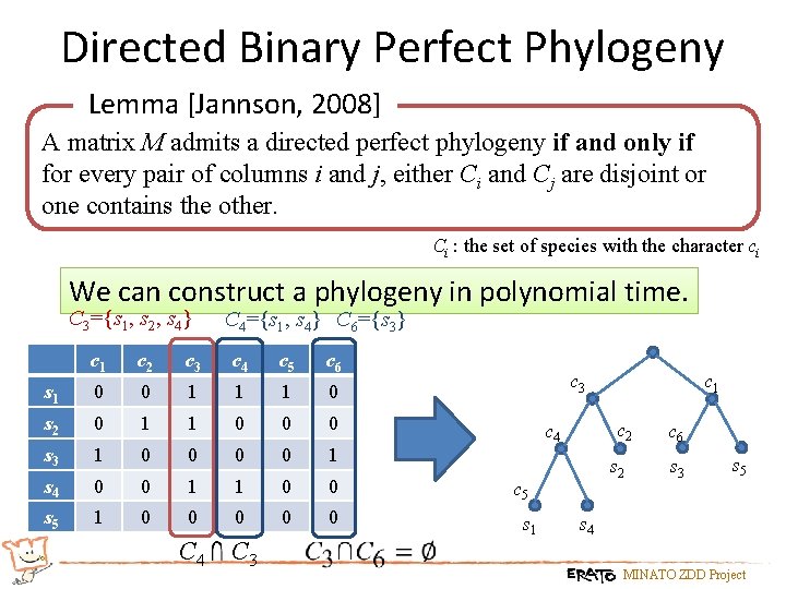 Directed Binary Perfect Phylogeny Lemma [Jannson, 2008] A matrix M admits a directed perfect