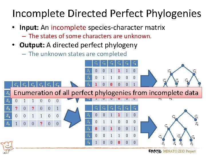 Incomplete Directed Perfect Phylogenies • Input: An incomplete species-character matrix – The states of