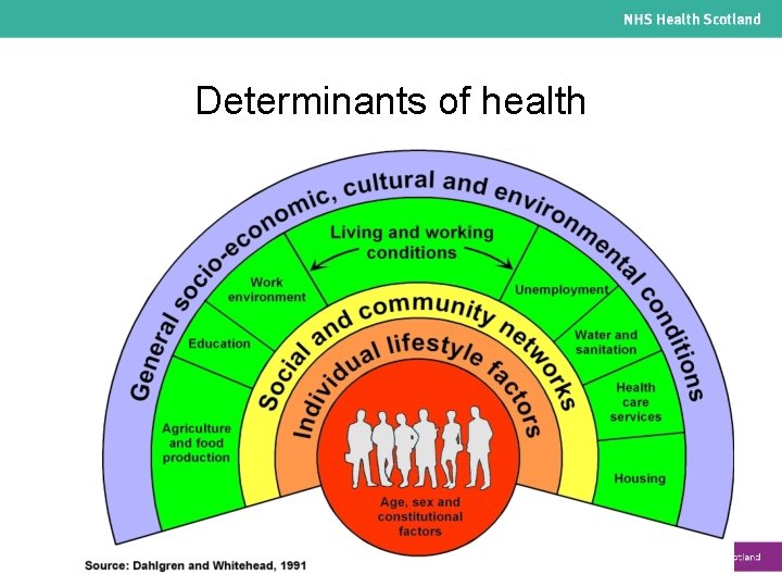 Determinants of health 