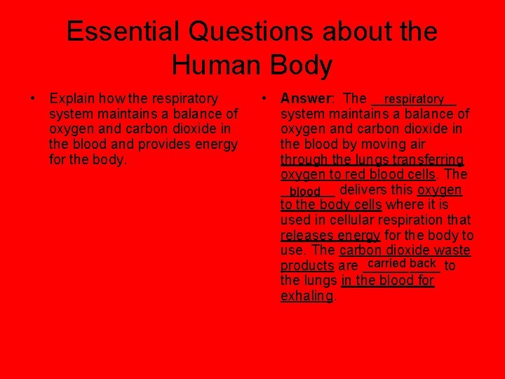 Essential Questions about the Human Body • Explain how the respiratory system maintains a