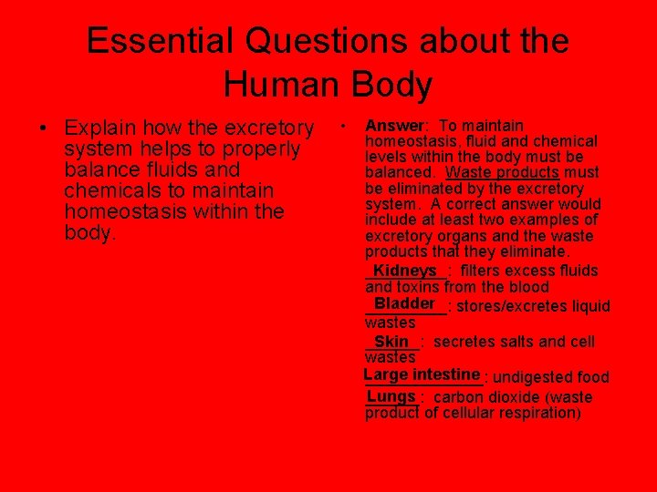 Essential Questions about the Human Body • Explain how the excretory system helps to