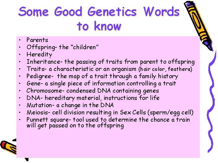 Some Good Genetics Words to know • • • Parents Offspring- the “children” Heredity