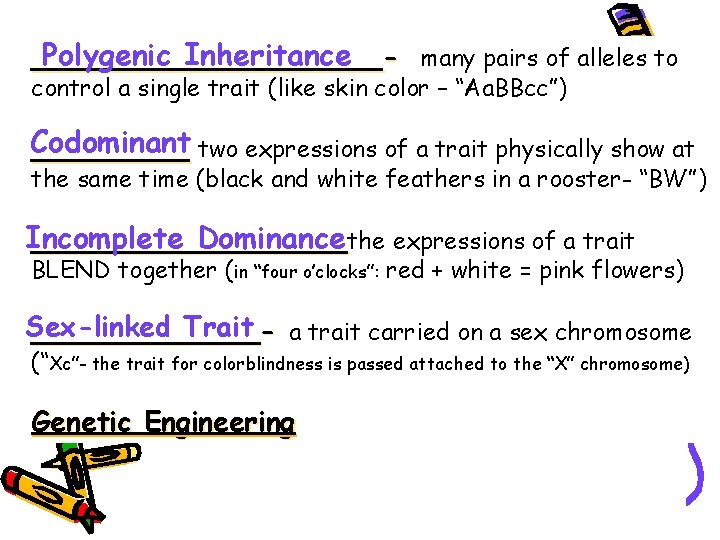 Polygenic Inheritance __________many pairs of alleles to control a single trait (like skin color