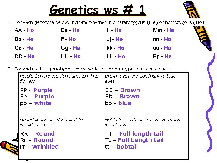 Genetics ws # 1 1. For each genotype below, indicate whether it is heterozygous