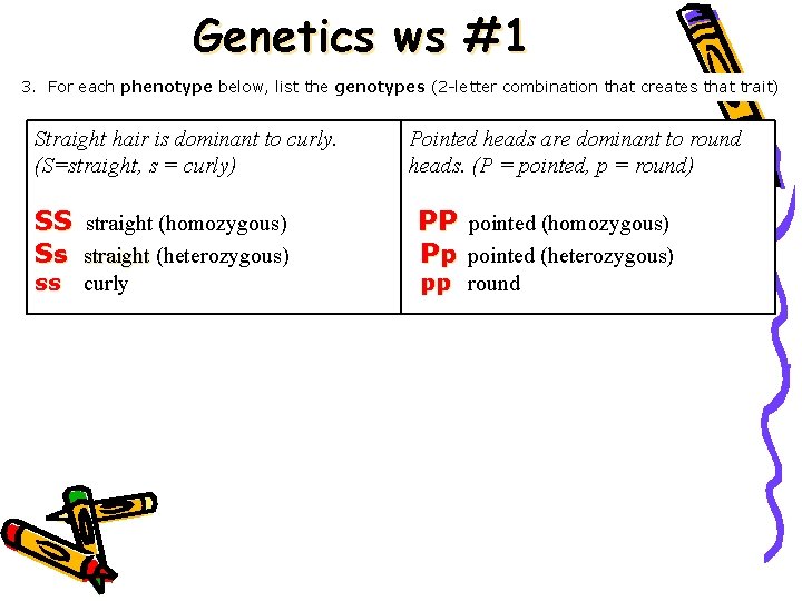 Genetics ws #1 3. For each phenotype below, list the genotypes (2 -letter combination