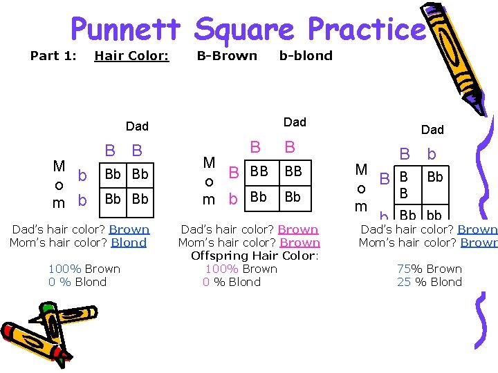 Punnett Square Practice Part 1: Hair Color: B-Brown Dad M b o m b