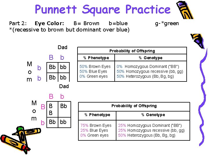 Punnett Square Practice Part 2: Eye Color: B= Brown b=blue *(recessive to brown but