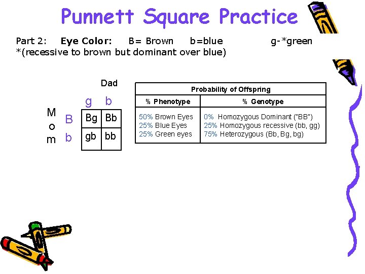 Punnett Square Practice Part 2: Eye Color: B= Brown b=blue *(recessive to brown but