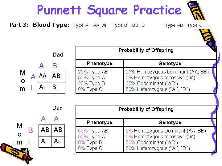 Punnett Square Practice Part 3: Blood Type: Type A= AA, Ai B M A