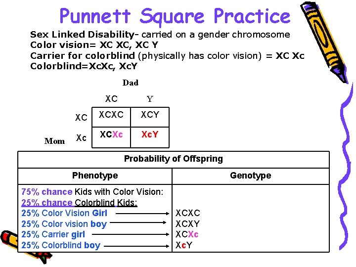 Punnett Square Practice Sex Linked Disability- carried on a gender chromosome Color vision= XC