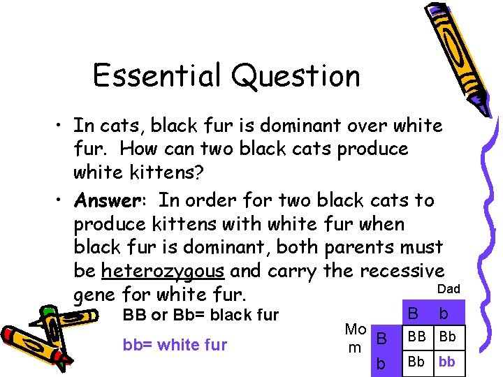 Essential Question • In cats, black fur is dominant over white fur. How can