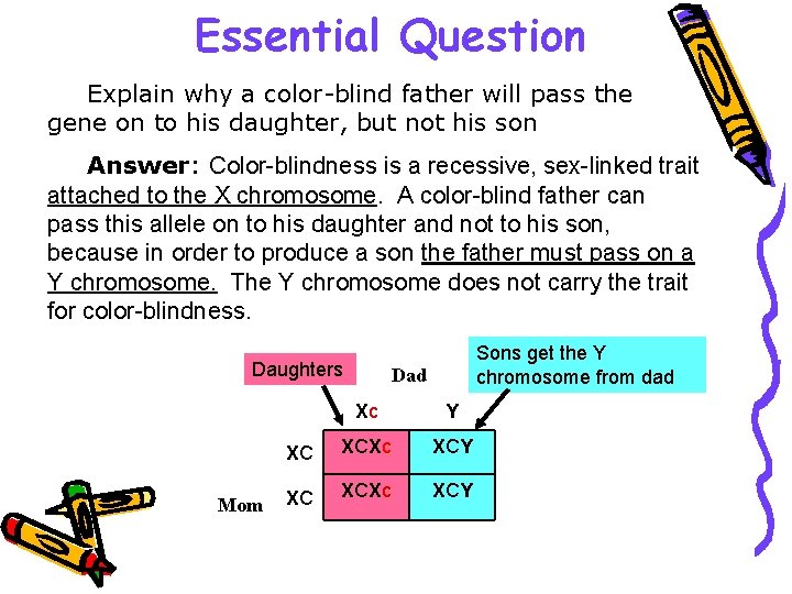 Essential Question Explain why a color-blind father will pass the gene on to his